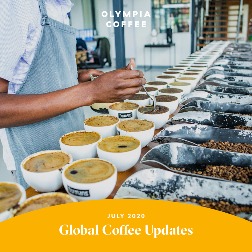 July 2020 Global Coffee Updates