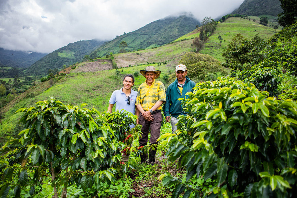 Now Sourcing: Nariño, Colombia