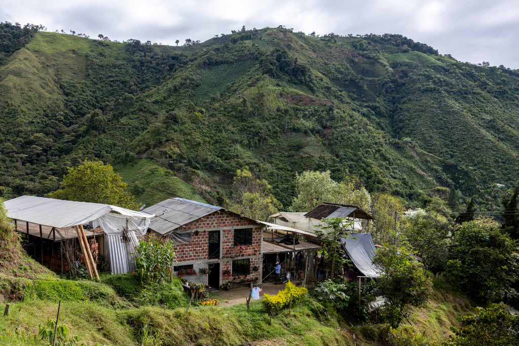 Origin Trip Report: Colombia