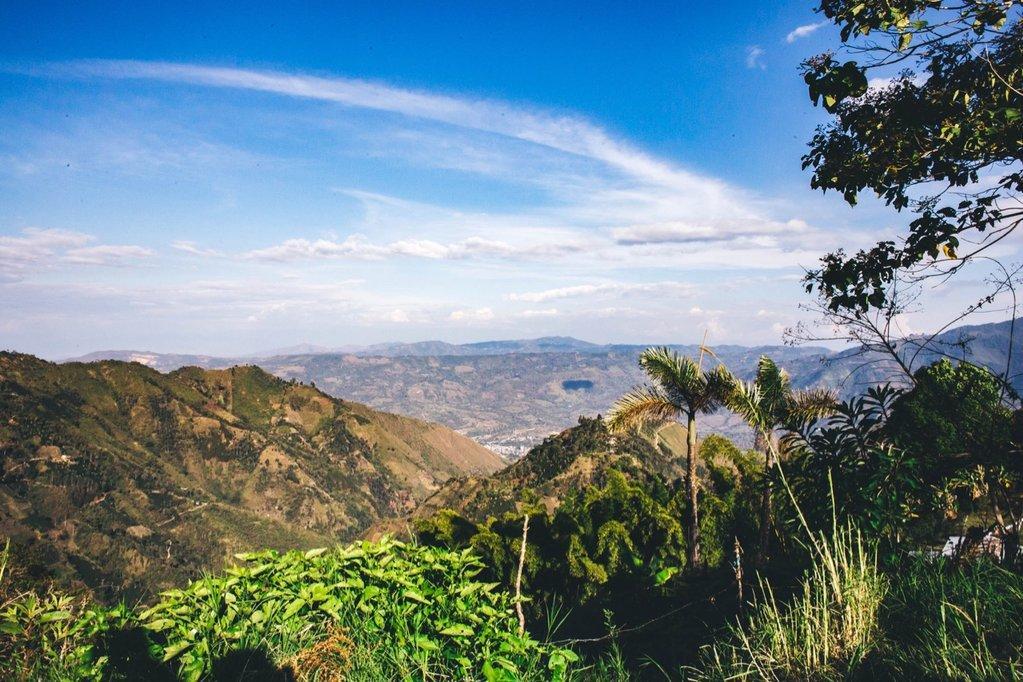 Oliver shares his thoughts: Colombia Gutierrez Gesha Natural