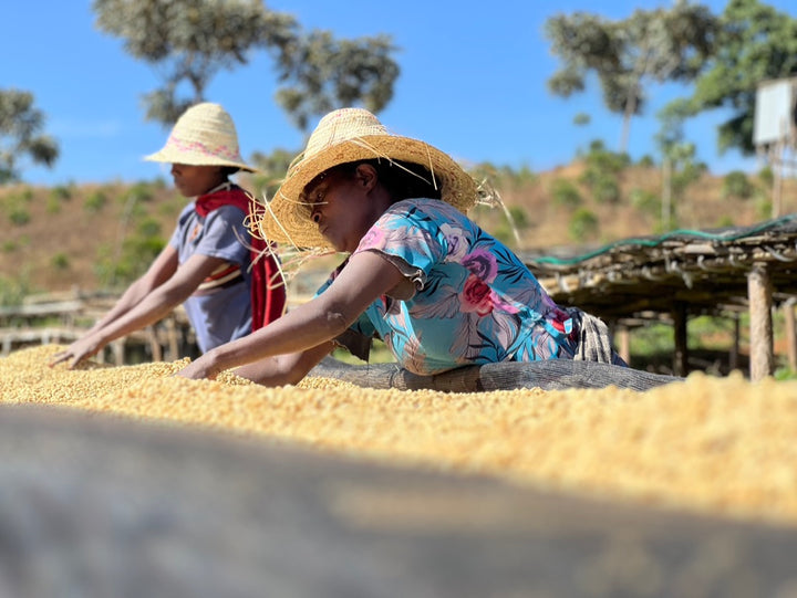 Ethiopia Kontoma