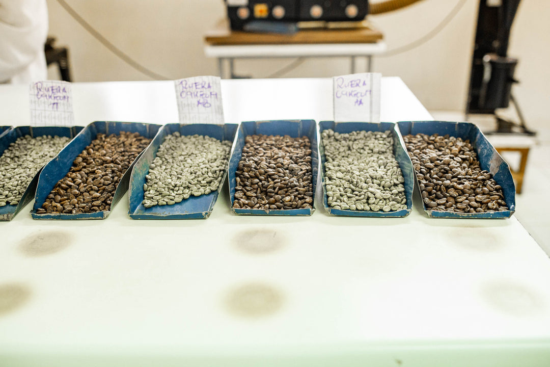 A waterfall of micro lot grade coffees are flowing in from Kenya!