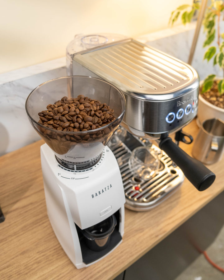 Baratza Encore ESP Coffee Grinder + Free Coffee