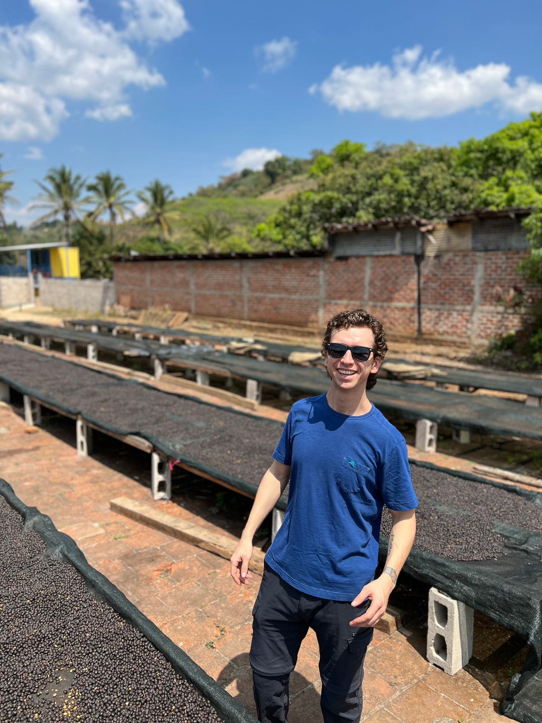 Ariz Family SL 28 Anaerobic Honey