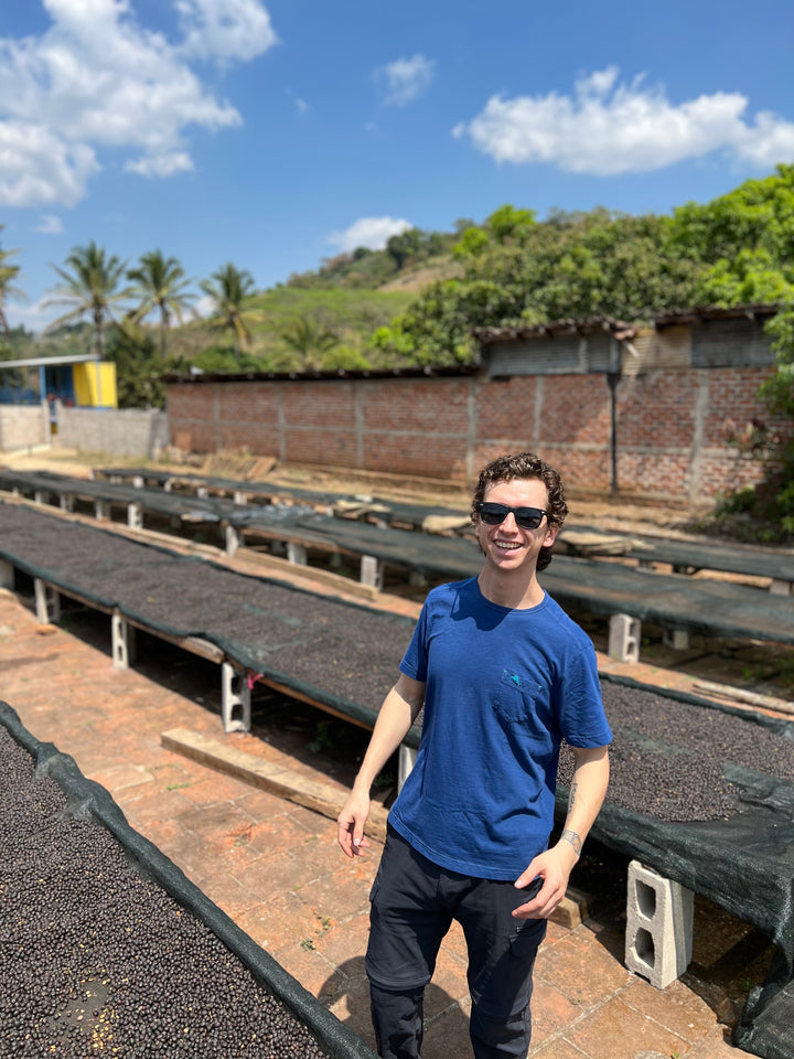 Ariz Family SL 28 Anaerobic Honey