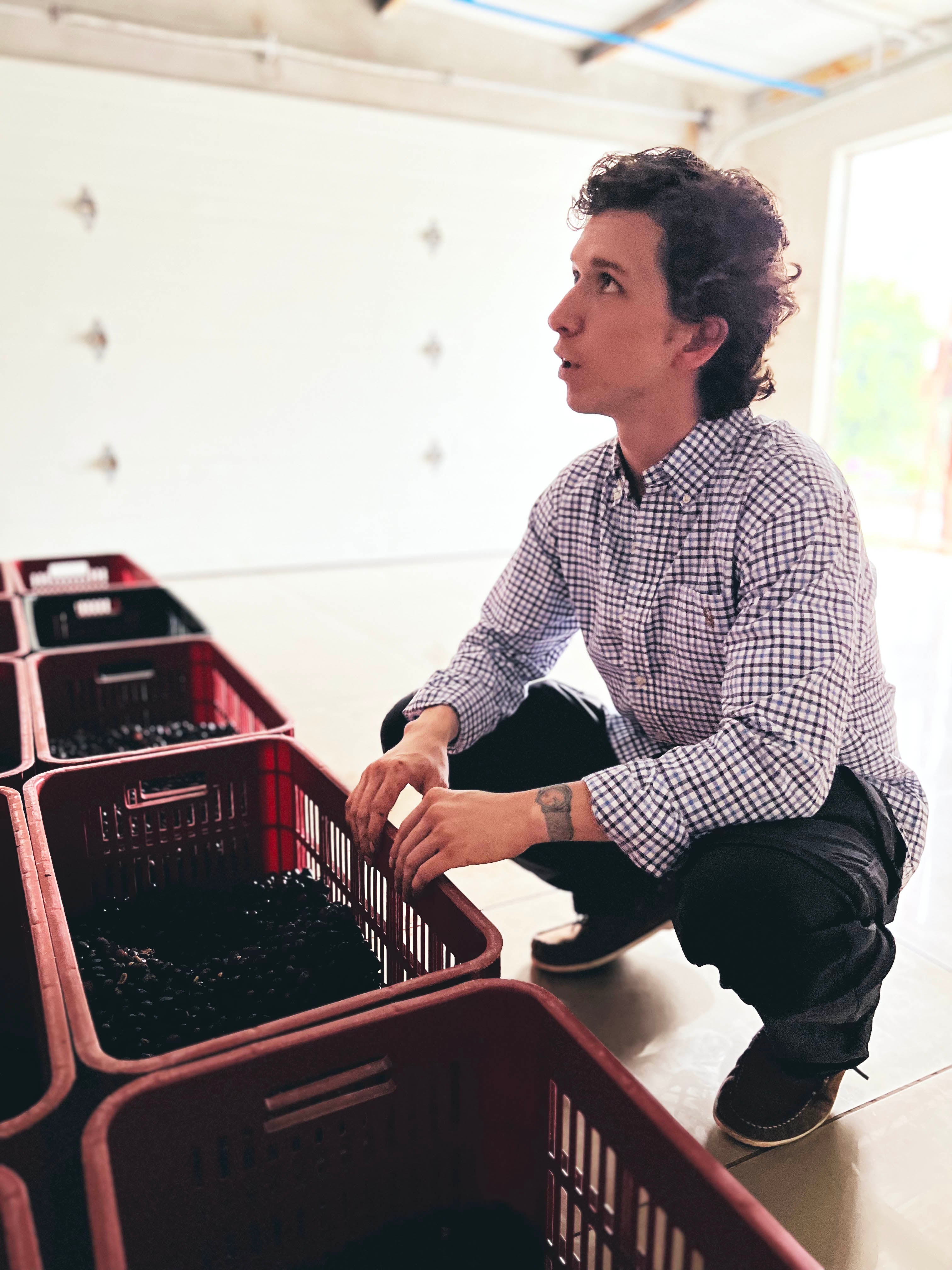 El Salvador Ariz Family Arusi Anaerobic Natural – Olympia Coffee