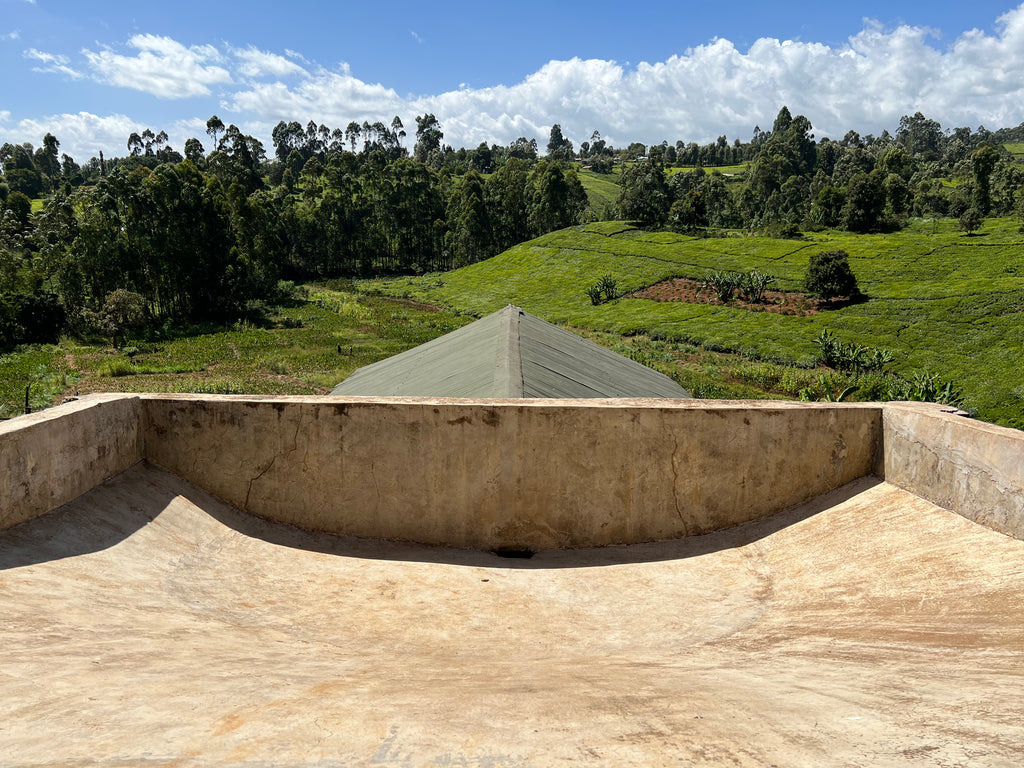 Giathugu AA Micro Lot 15