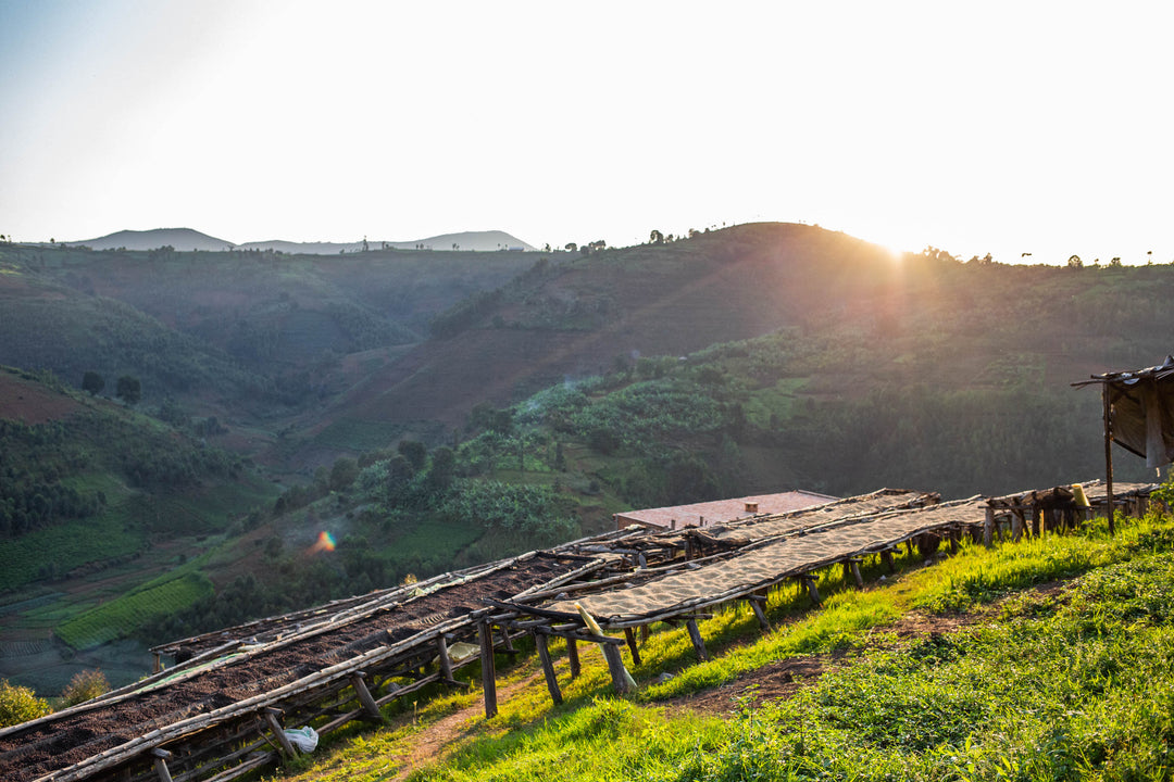 Burundi Mikuba Anaerobic Natural