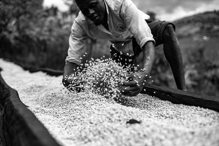 Burundi Processing Bundle - Olympia Coffee Roasting Company