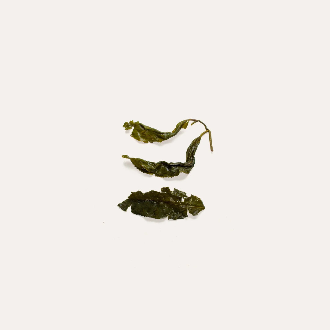 Mr. Hsieh's Honey Aroma Oolong Looselaf Tea 50g - Olympia Coffee Roasting Company