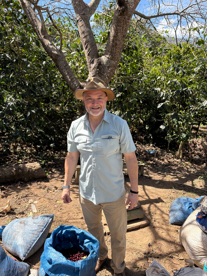 Ariz Family SL 28 Anaerobic Honey