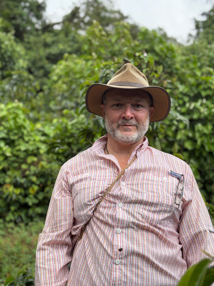 Ariz Family SL 28 Anaerobic Honey