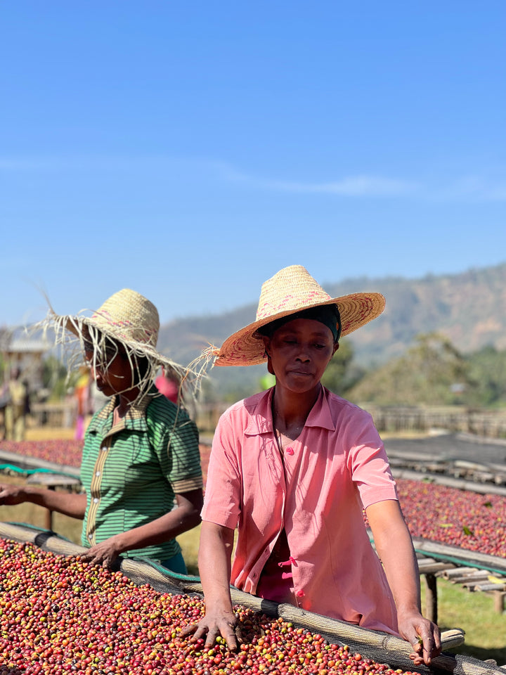 Ethiopia Kokose Natural