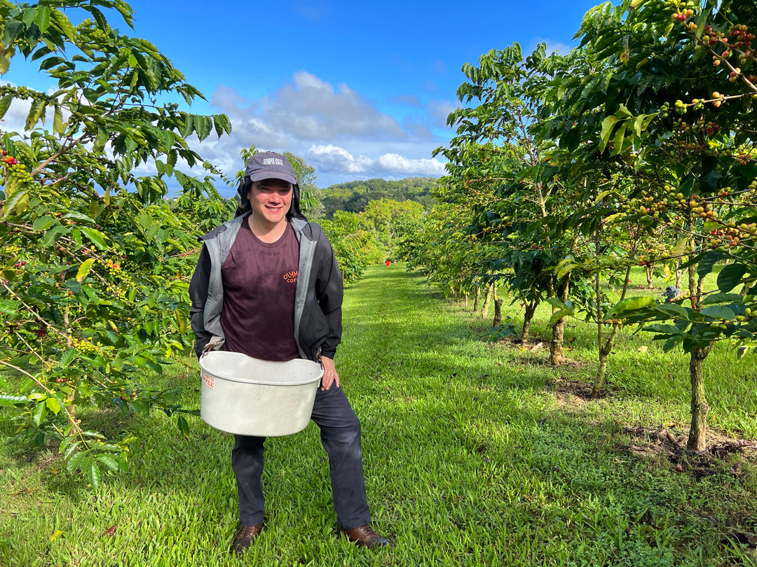 Hawai'i Monarch Kona Gesha Natural Maceration