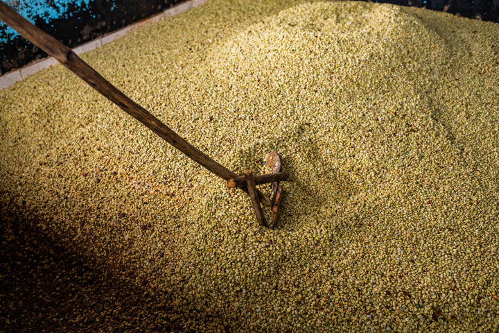 Kenya Boma Peaberry Micro Lot 12