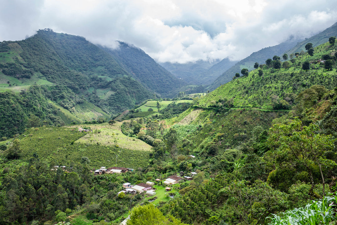Colombia Taita
