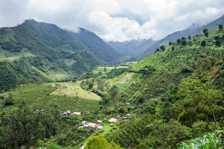 Colombia Taita