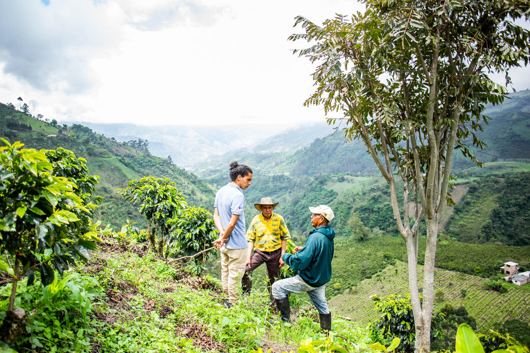 Colombia Taita