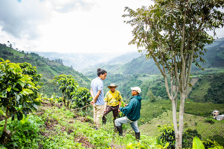 Colombia Taita