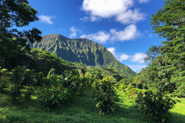 Hawaii Maunawili Bourbon Sparkling Natural