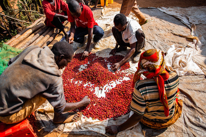 Gitwe Natural Micro Lot 4