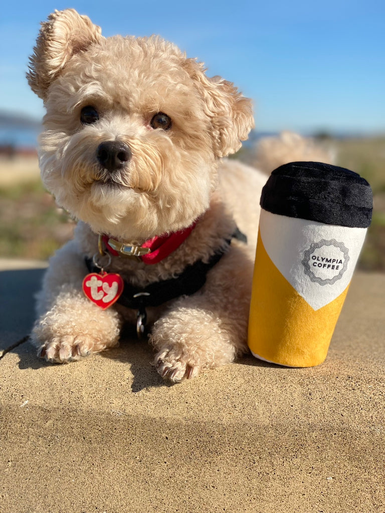 Olympia Coffee Cup Pet Toy