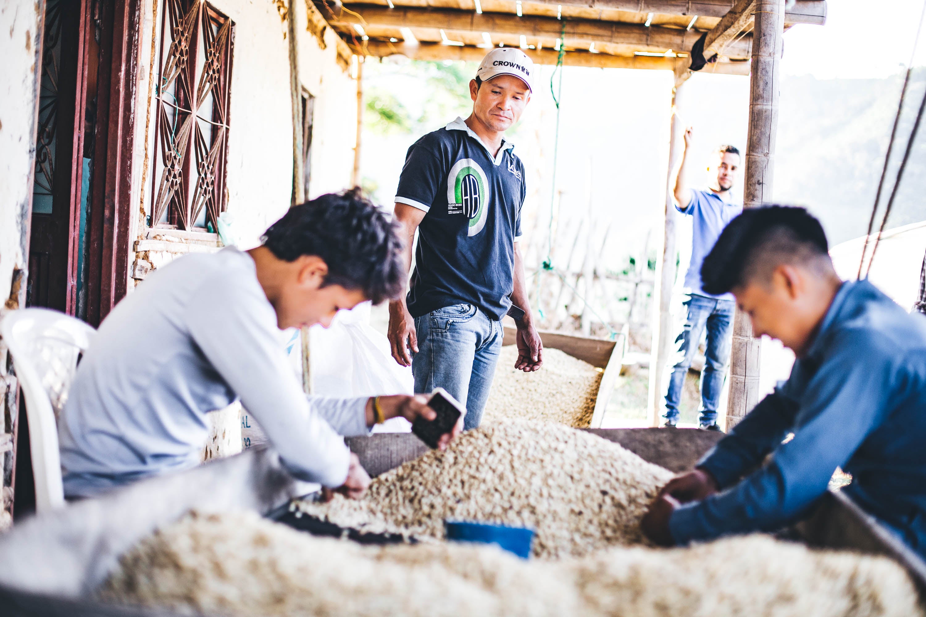 San Sebastian Reserva | Colombia - Olympia Coffee Roasting Co